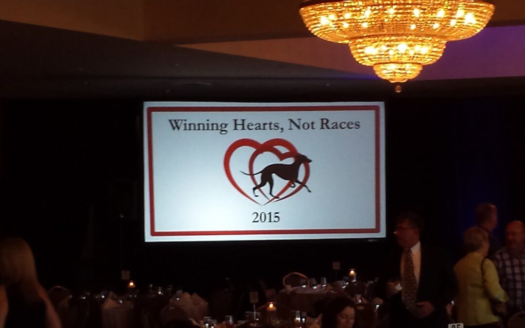 AGA 2015 and 2017 – American Greyhound Association Annual “Winning Hearts Not Races” Gala.